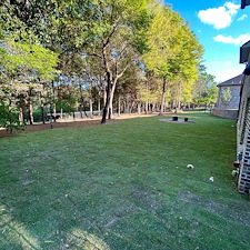 Zion-Making-Beautiful-Lawns-Happen-Fast-With-Expert-SOD-Installation 1